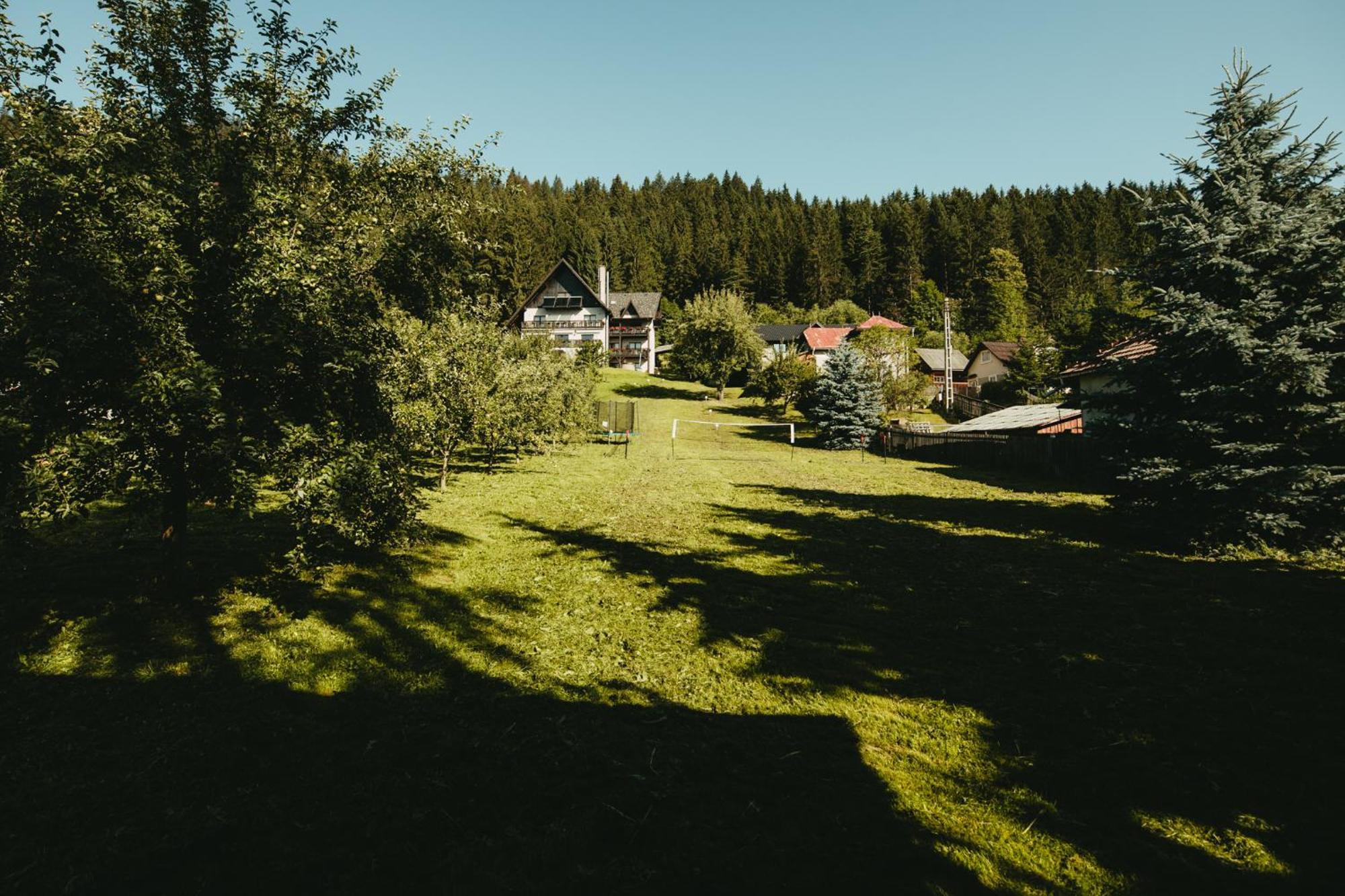 Bucovina Lodge Pension Vama  Eksteriør bilde