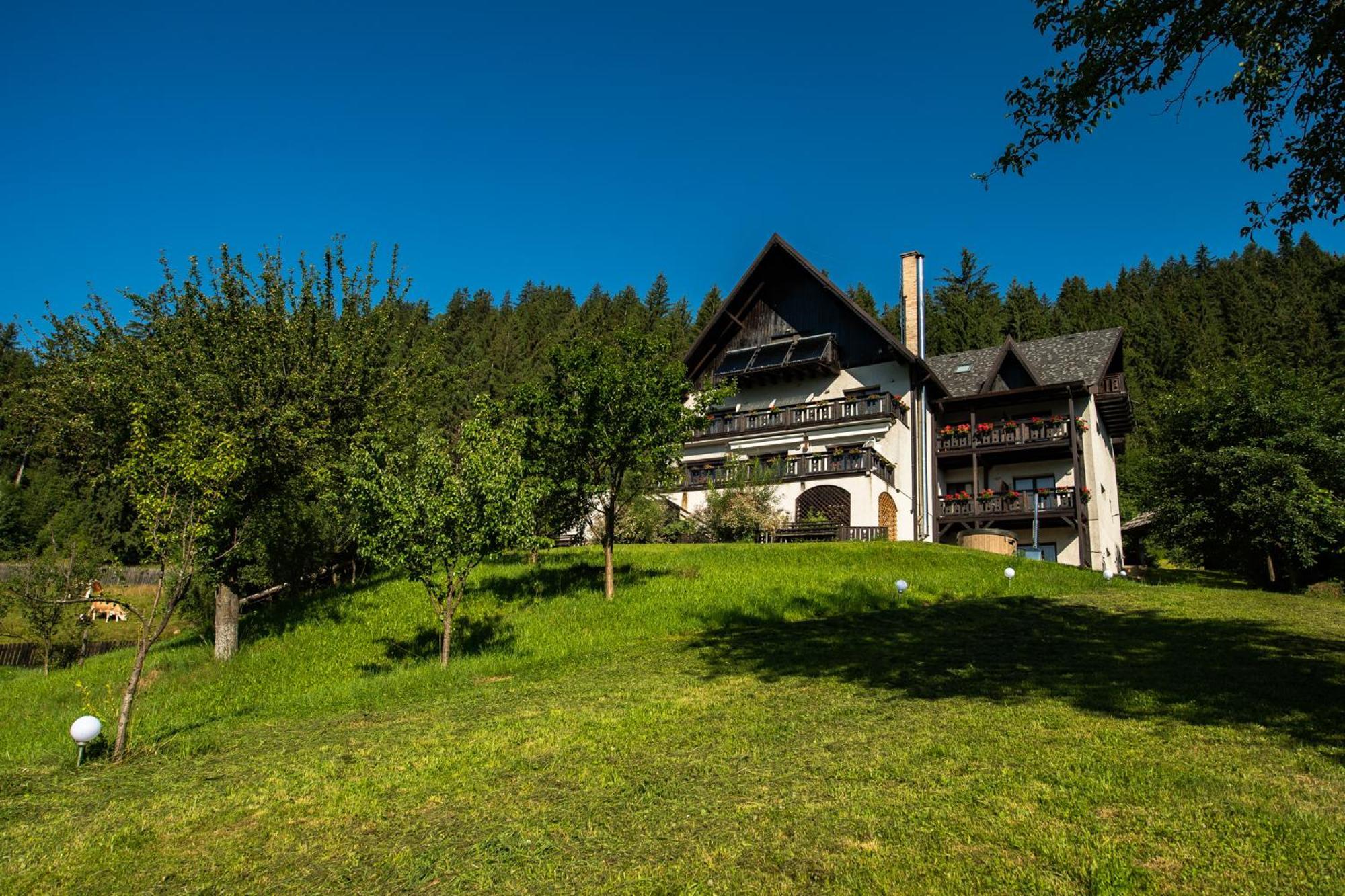 Bucovina Lodge Pension Vama  Eksteriør bilde
