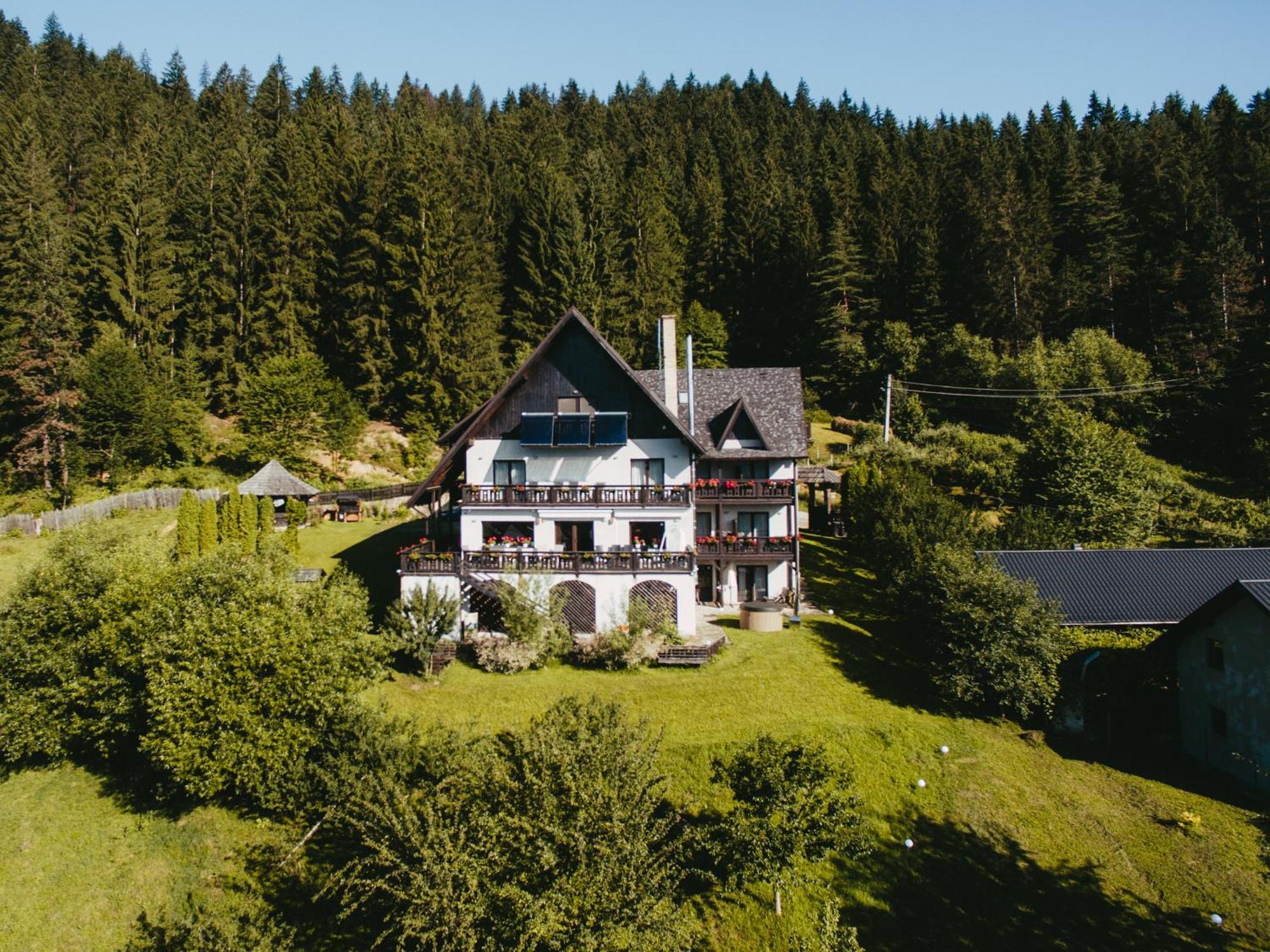 Bucovina Lodge Pension Vama  Eksteriør bilde