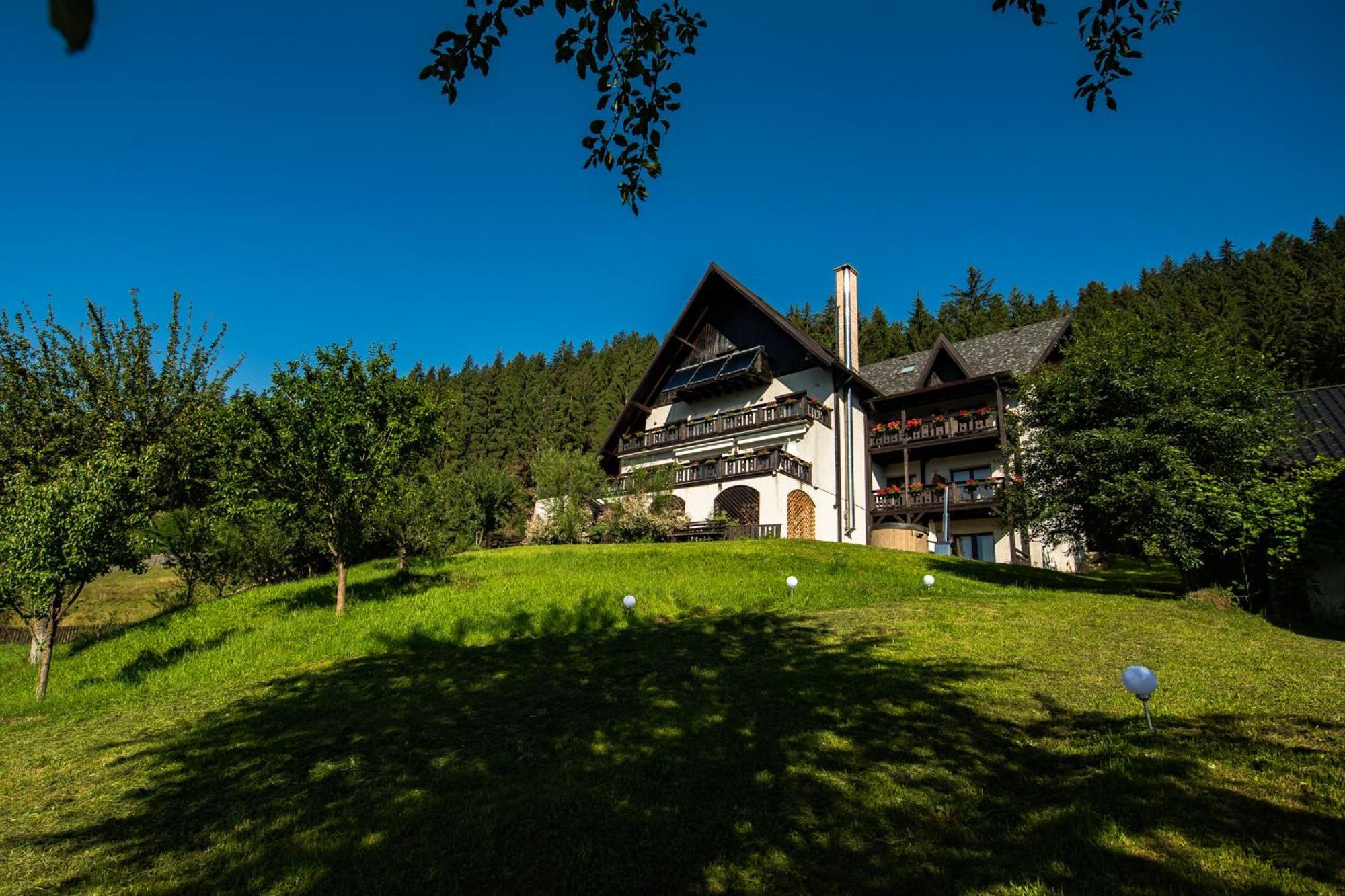 Bucovina Lodge Pension Vama  Eksteriør bilde